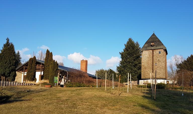 Das Foto zeigt die Bockwindmühle Fahrland 2018.